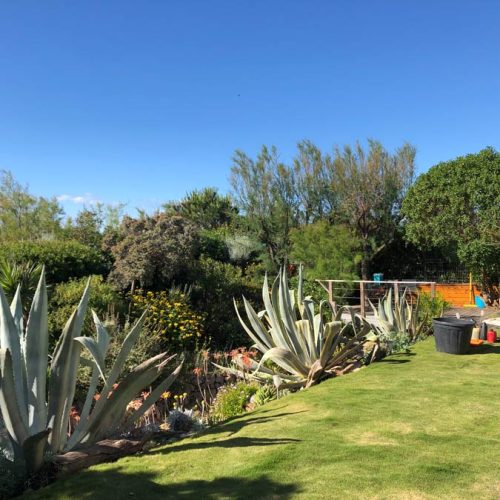 Création de jardin à Agde et dans l’Hérault